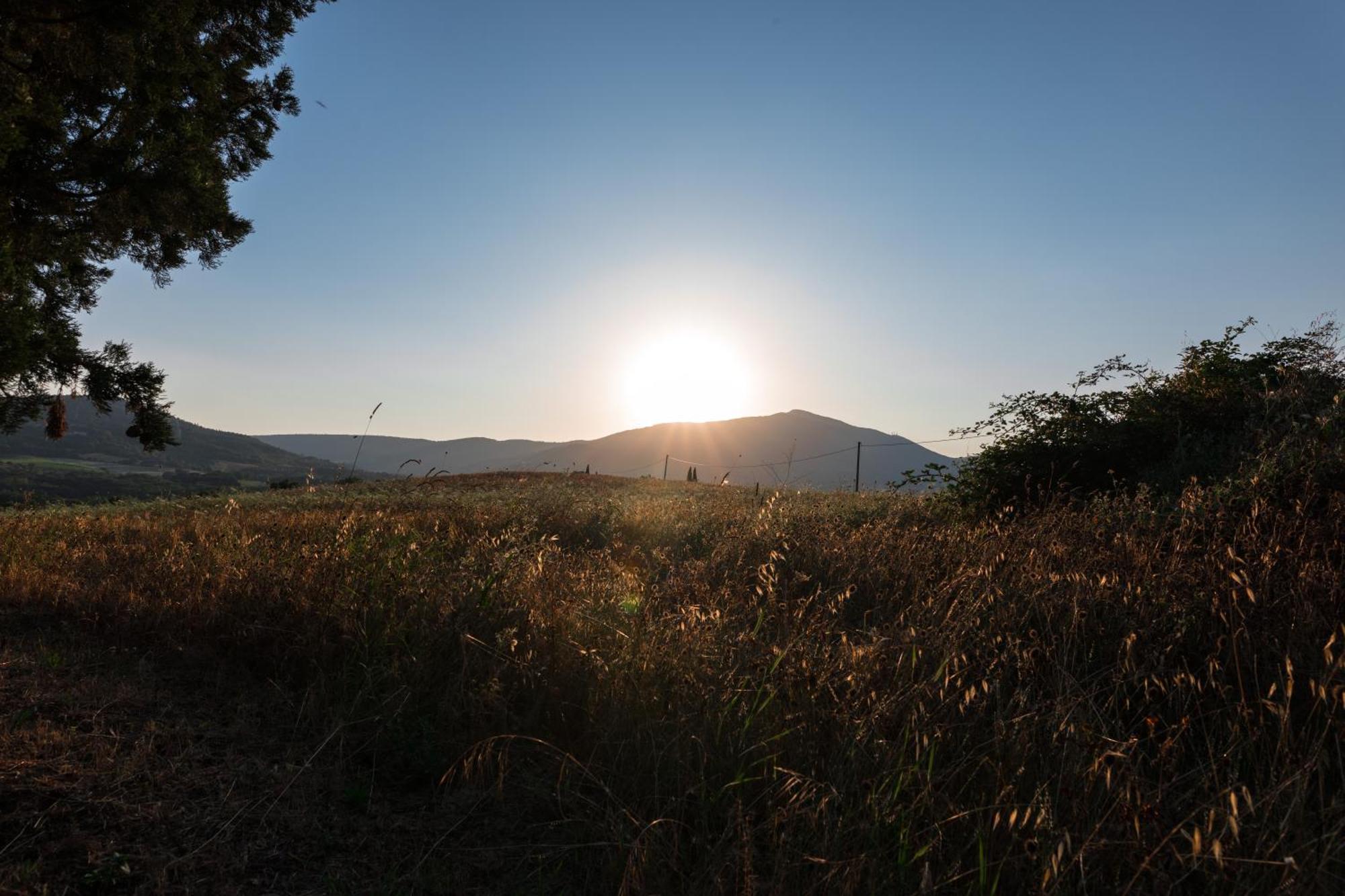 Palazzone Agriturismo Spazzavento المظهر الخارجي الصورة