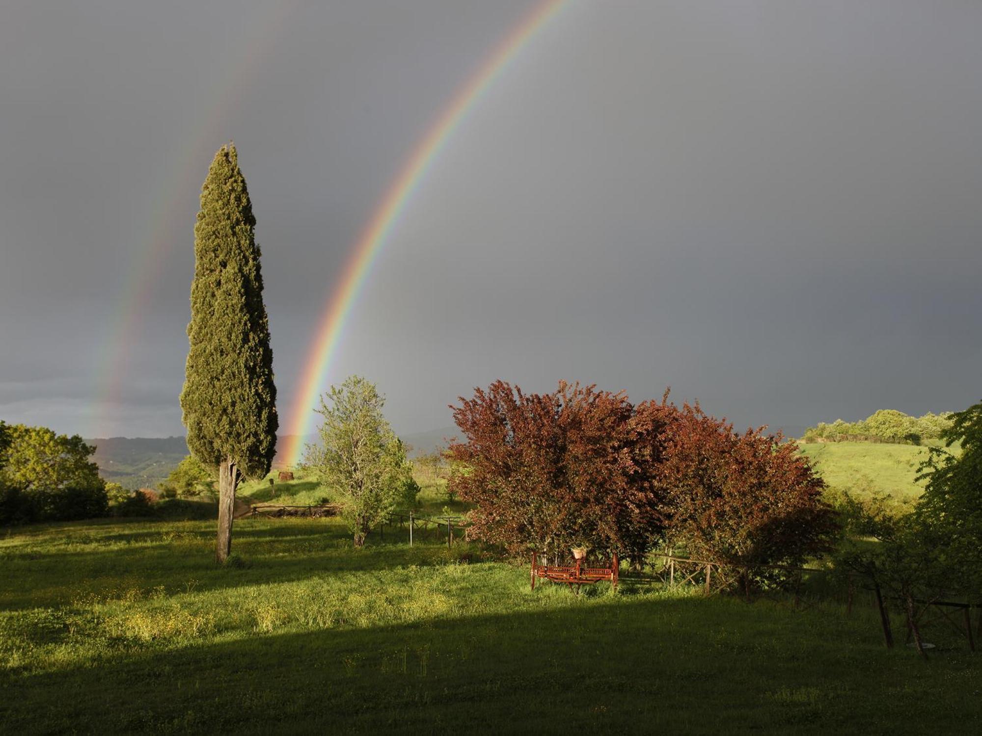 Palazzone Agriturismo Spazzavento المظهر الخارجي الصورة